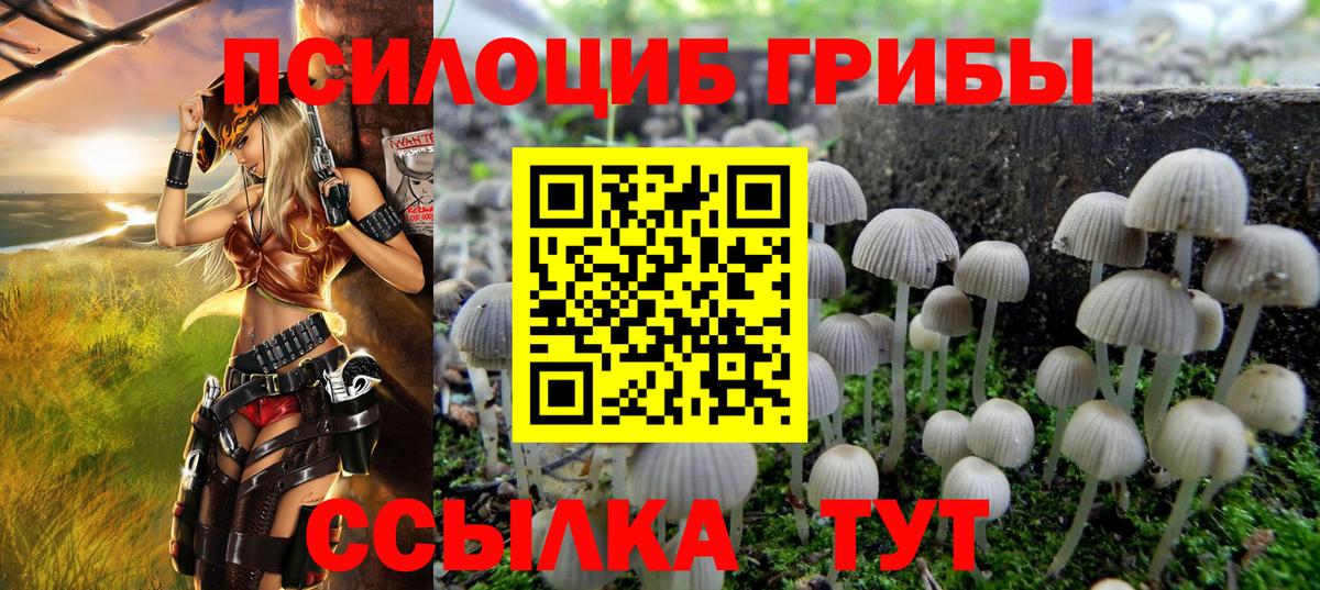 Галлюциногенные грибы мицелий Кудрово
