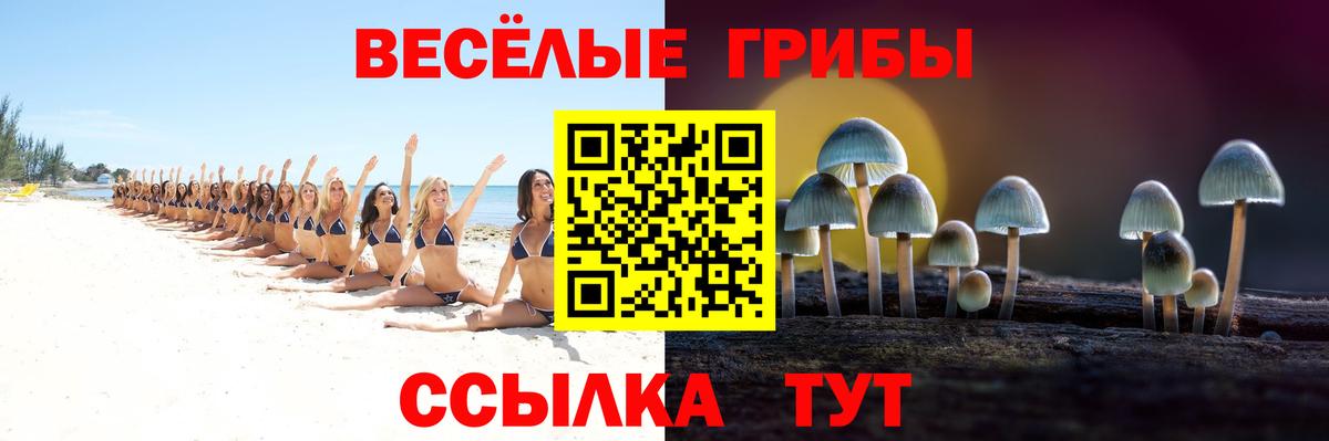 Галлюциногенные грибы мицелий  Вход с VPN  Псилоцибиновые грибы Psilocybine cubensis  Кудрово 